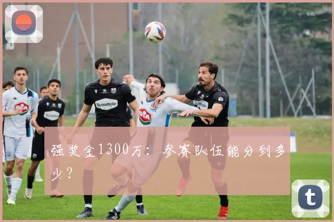 强奖金1300万：参赛队伍能分到多少？