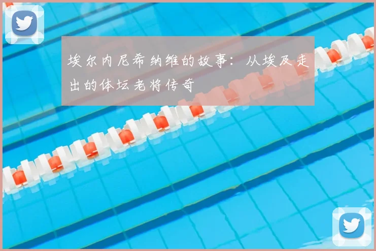 埃尔内尼希纳维的故事:从埃及走出的体坛老将传奇