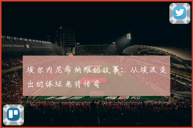 埃尔内尼希纳维的故事：从埃及走出的体坛老将传奇